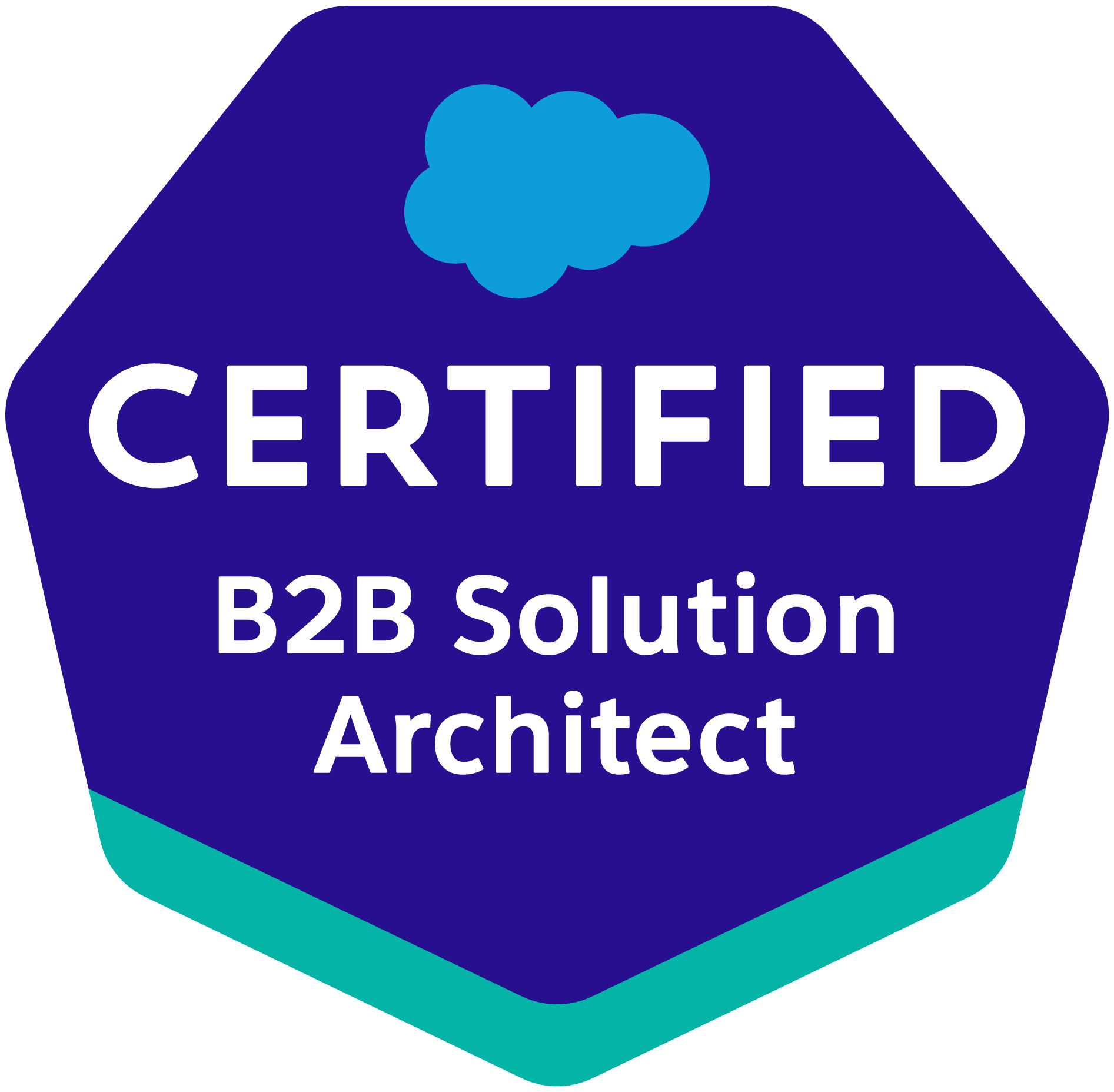 Salesforce Certified B2B Solution Architect Exam Guide