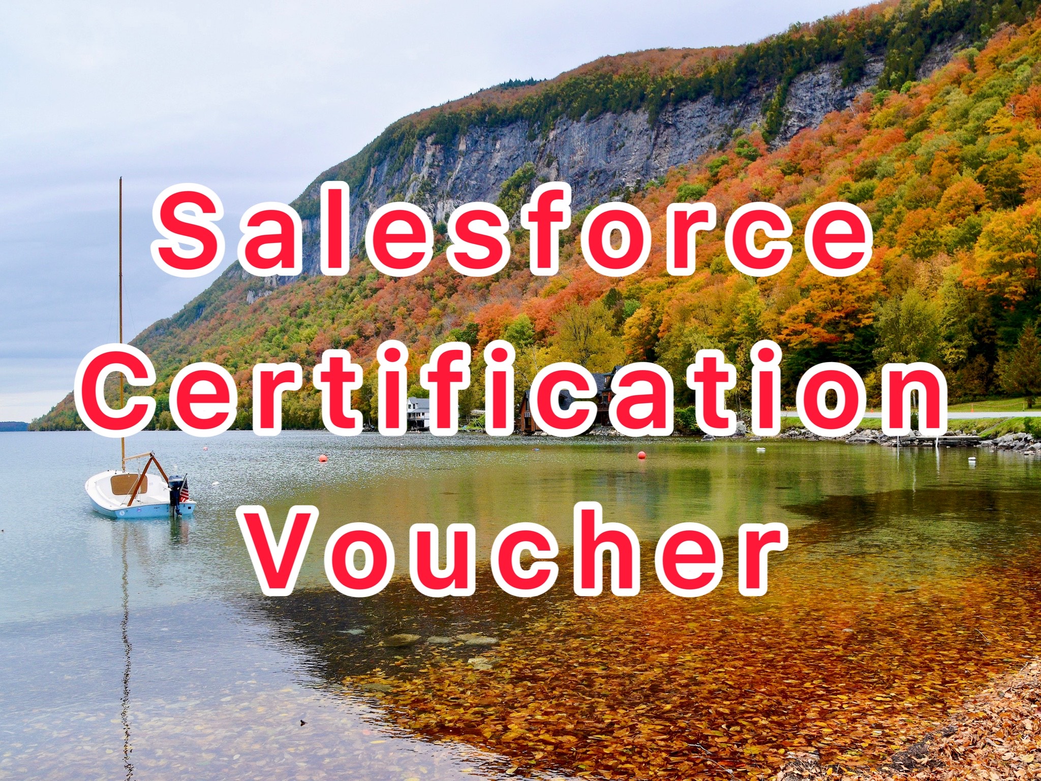 Free Salesforce Certification Voucher / Coupon 2023 DYDC