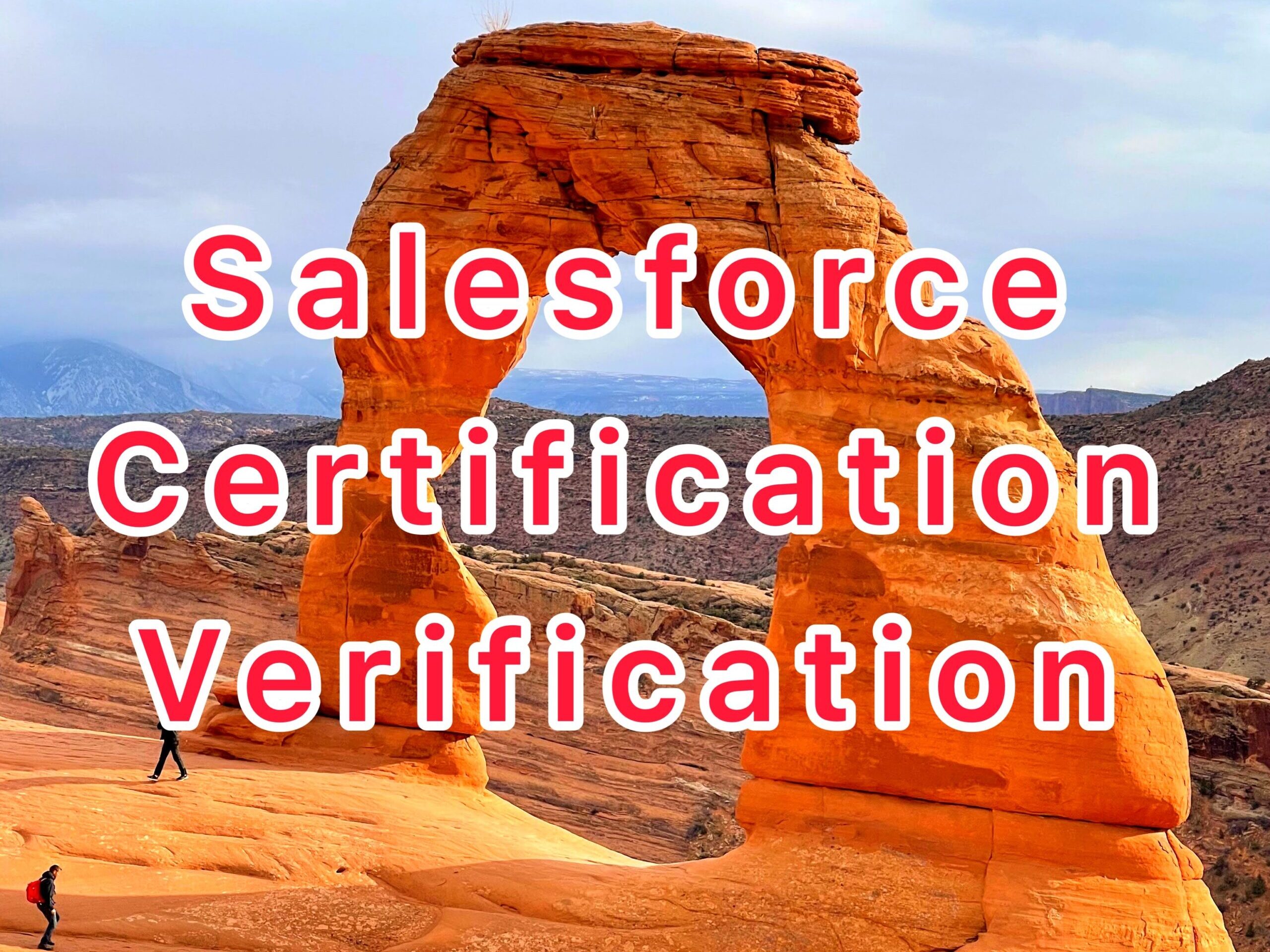 100% Salesforce-Associate Accuracy