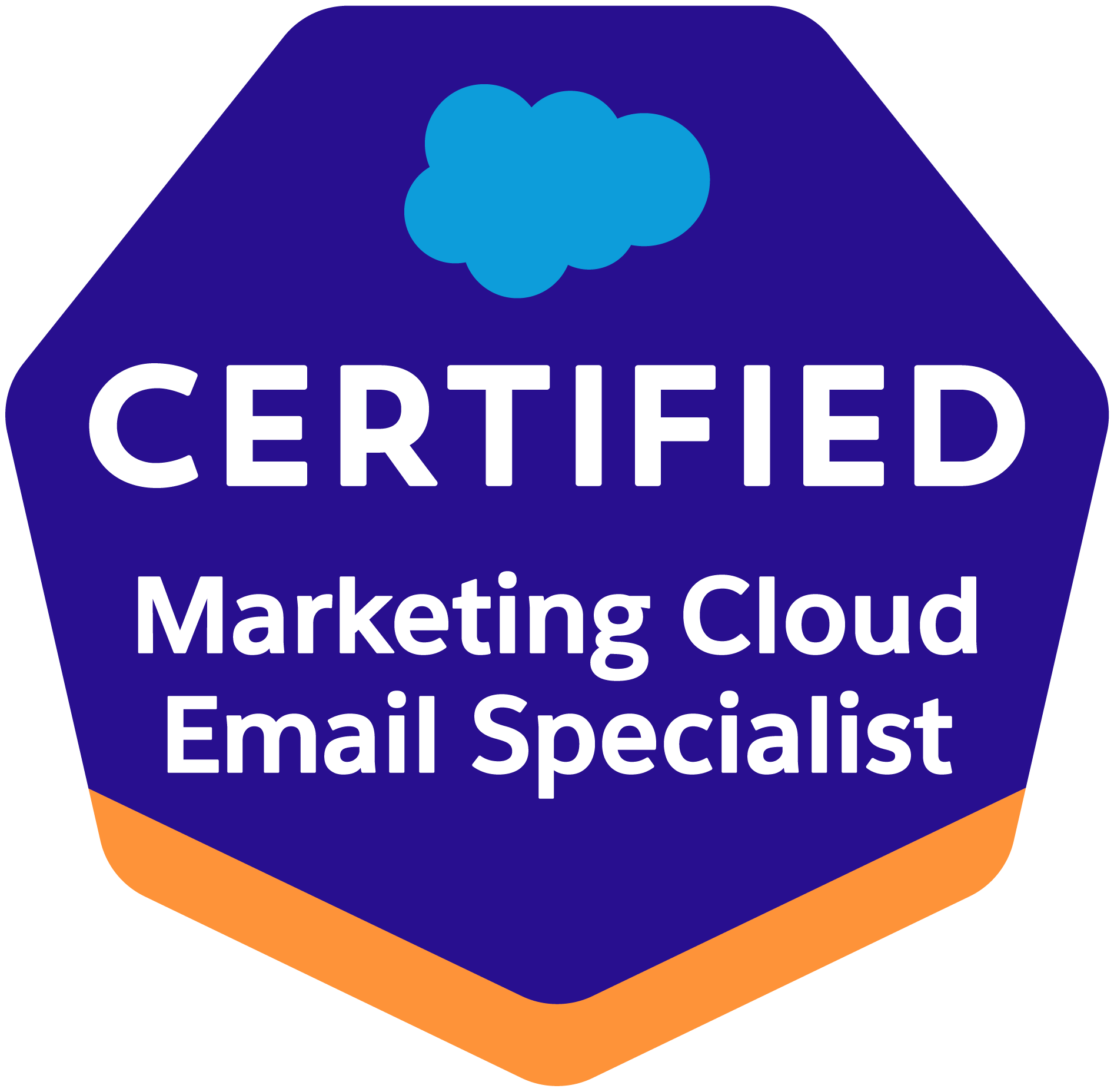 Salesforce Marketing Cloud Email Specialist Exam Guide DYDC