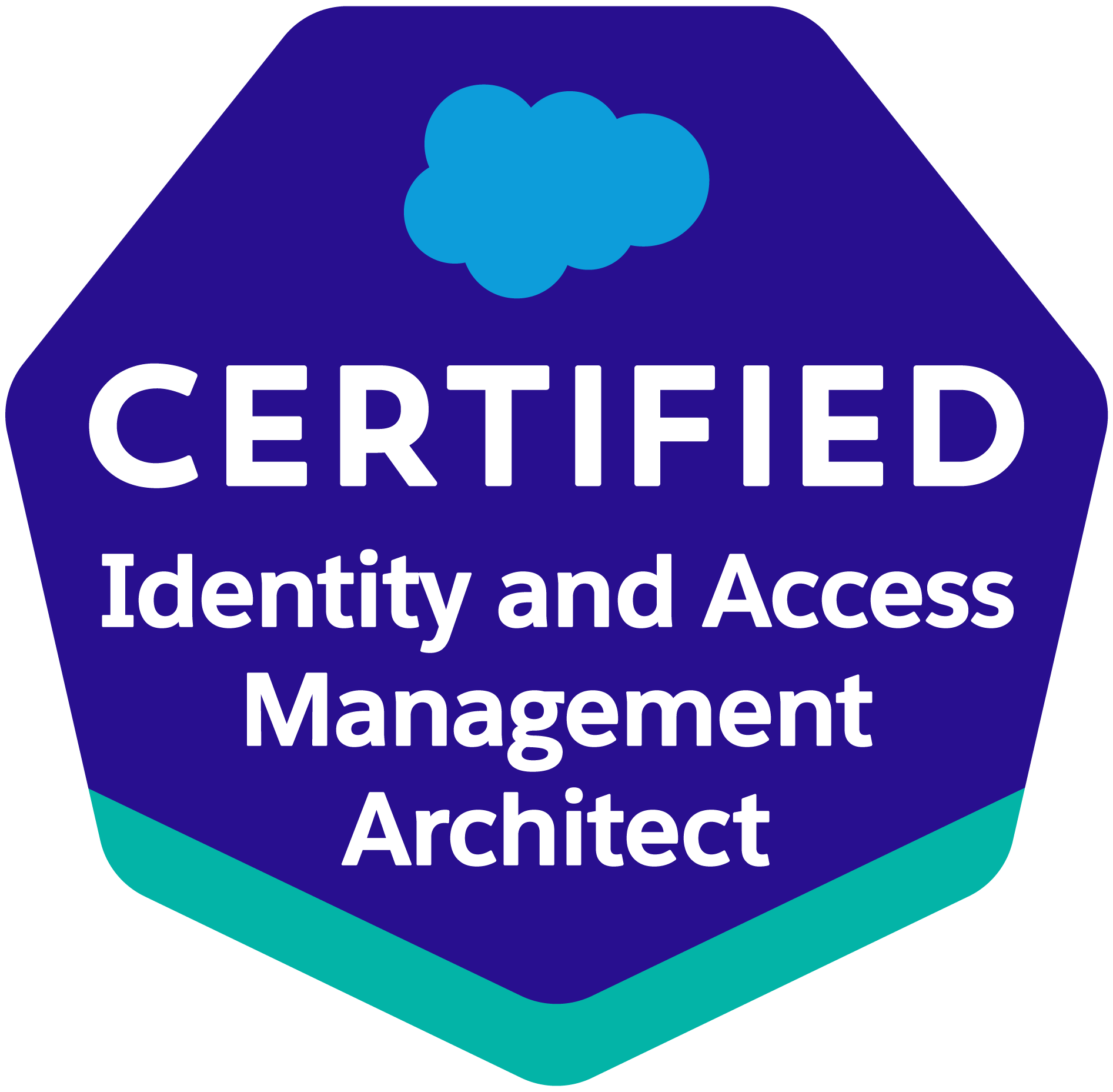 Salesforce Identity and Access Management Architect Certification Exam Sns-Brigh10