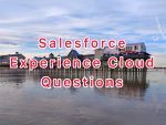 Salesforce Experience Cloud Interview Questions