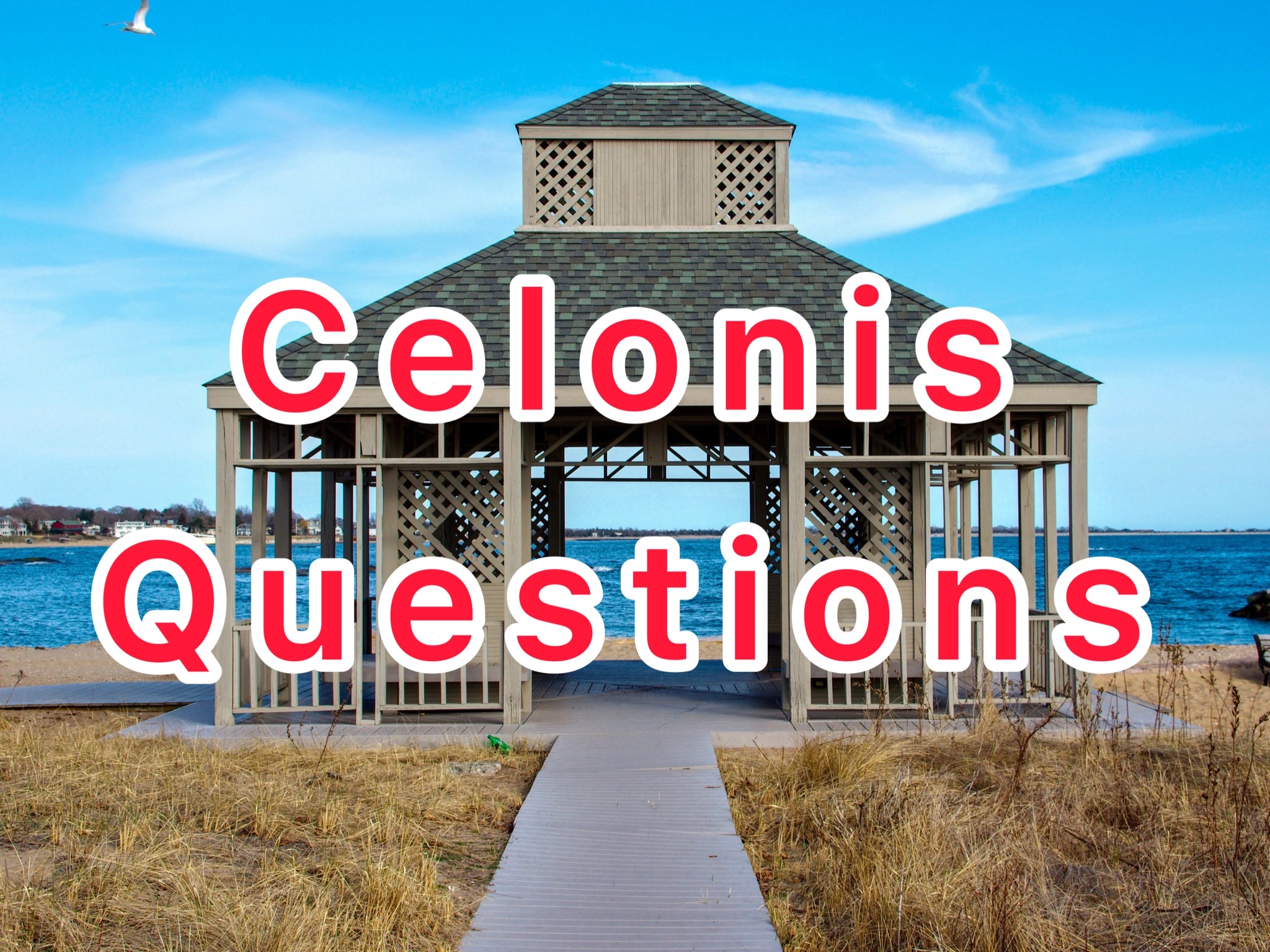 Celonis Interview Questions