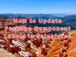 How to update managed package component labels in Salesforce