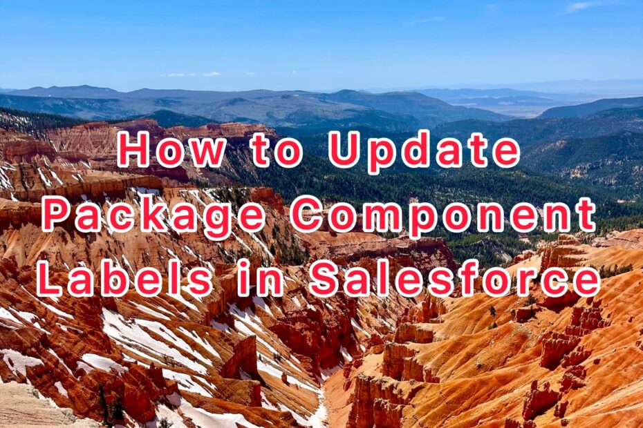 How to update managed package component labels in Salesforce