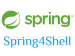 Salesforce Spring4Shell Vulnerabilities v2