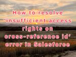 Insufficient access rights on cross-reference id error in Salesforce
