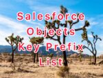 Salesforce Objects Key Prefix