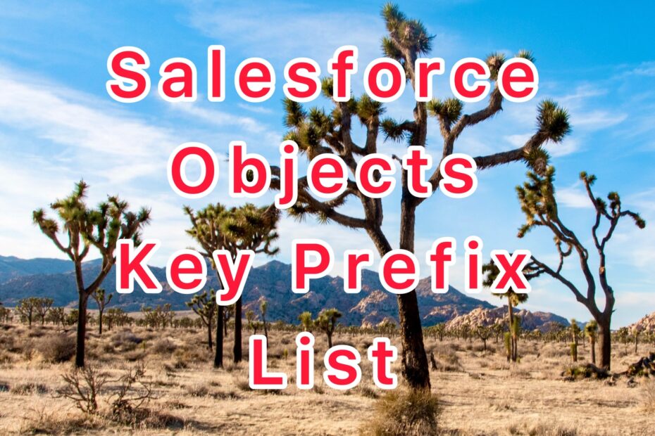 Salesforce Objects Key Prefix