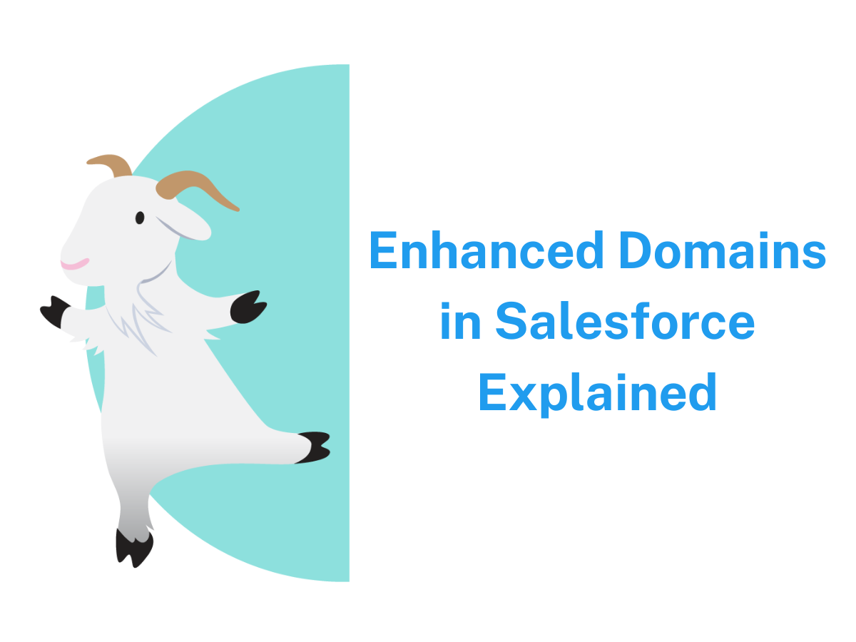 Enhanced Domains in Salesforce Explained