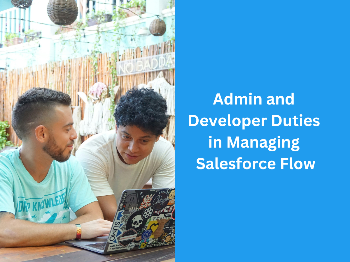 Admin and Developer Duties in Managing Salesforce Flow